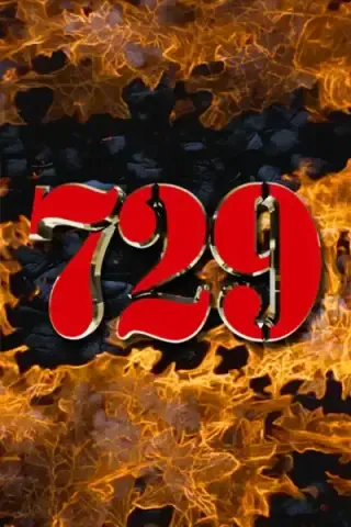729 by MOD Elektronik